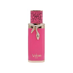 french avenue vulcan baie edp